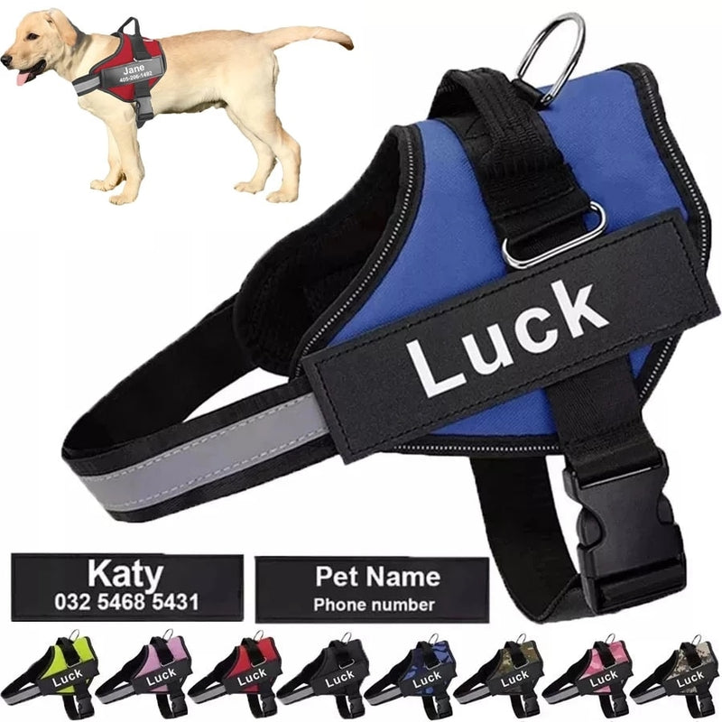 Luck™ - Coleira Peitoral personalizada para Cachorros