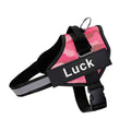 Luck™ - Coleira Peitoral personalizada para Cachorros